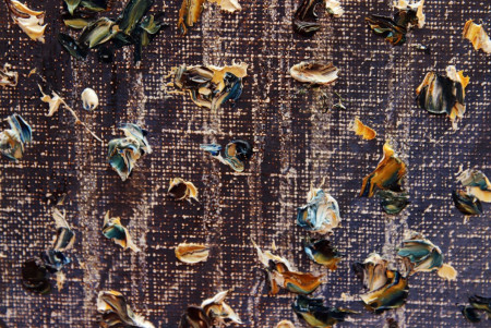 Dni bulharskej kultúry v Košiciach - foto 7