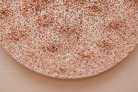 Dni bulharskej kultúry v Košiciach - foto 9