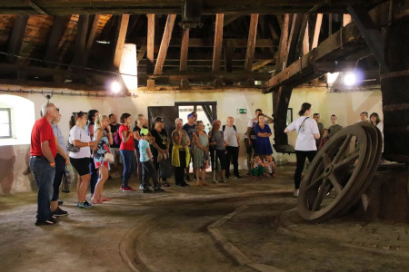 Salt day 2023 - foto 36