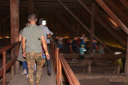 Salt day 2023 - foto 37