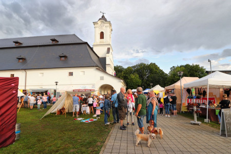 Salt day 2023 - foto 45