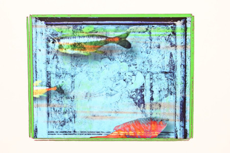 PHOTOS – Ján Polák - foto 9