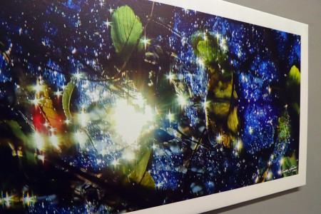 Maľované mobilom - foto 9