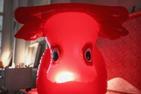 Mini Wonders - foto 6