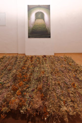 MY GARDEN – YOUR GARDEN - foto 23